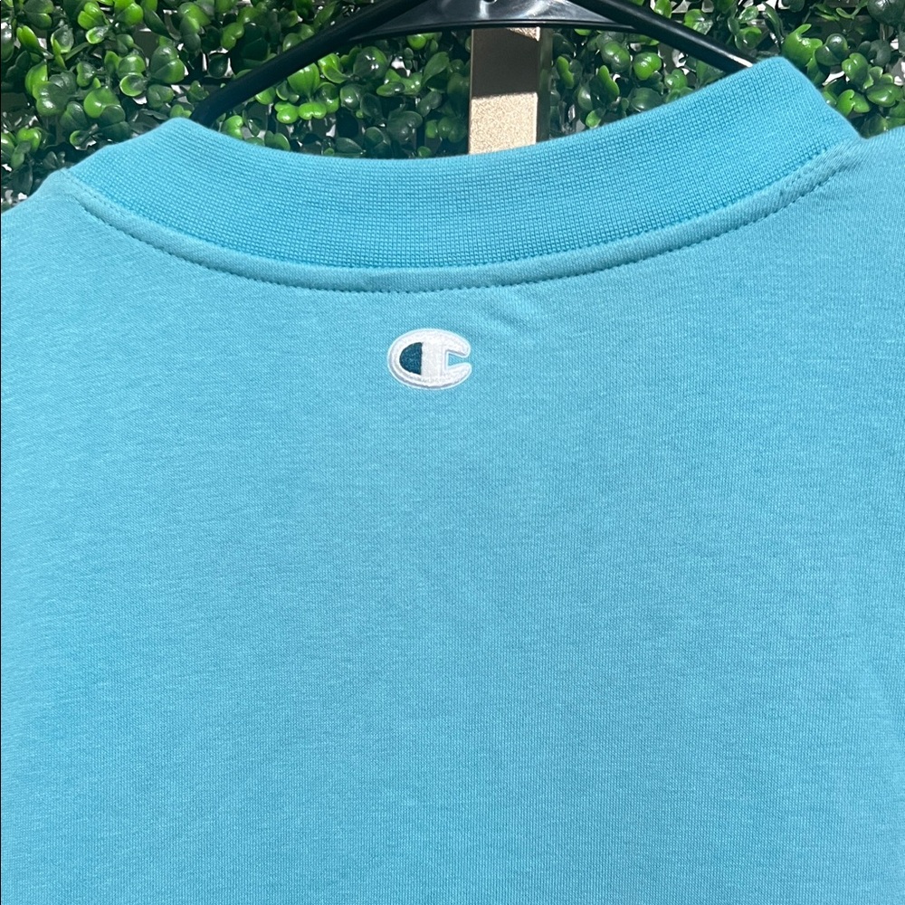 Champion Long Sleeve V-Neck French Terry Pullover Teal Blue XS oversized - Picture 9 of 10